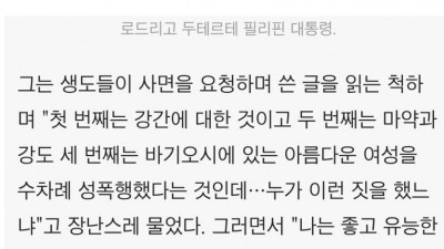  나라다운 나라의 대통령