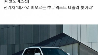  중국 전기차가 온다