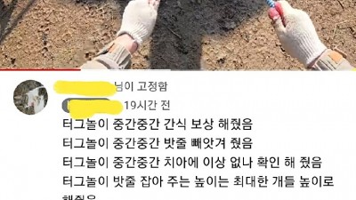  불편러들 미리 커트하는 유튜버