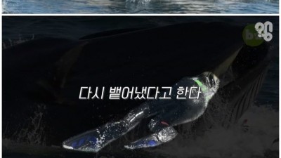  고래 배 속에서 살 수 있을까?