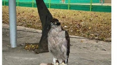  경북대에서 벌어진 사건