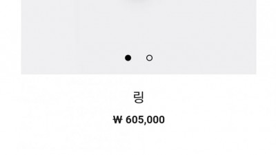  럭셔리한 명품 악세서리