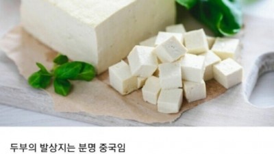  두부에 미친 나라
