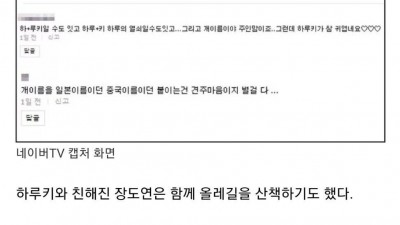  SNS 난리난 개 이름 논란