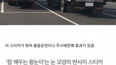  고속도로에 왕눈이 트럭이 많은 이유