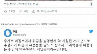  쇼킹한 이집트 근황