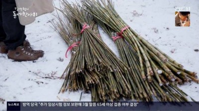 대나무 낚싯대 명장