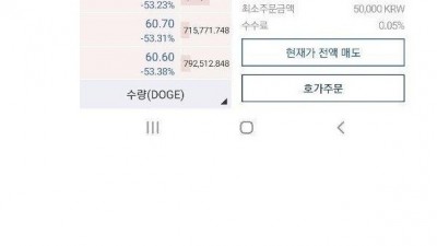  코인 거래의 위험성