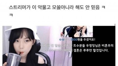  트위치의 이상한 문화
