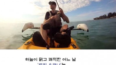  카약 탄 남자에게 피 흘리며 헤엄쳐 온 생물체