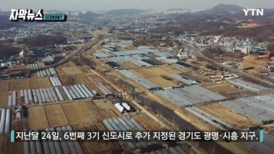  고양이에게 맡긴 생선
