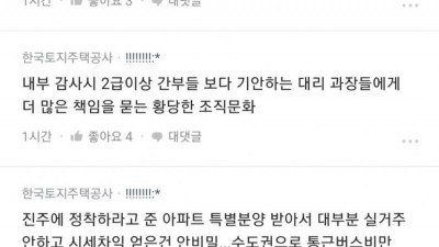  블라인드에 올라온 LH 폭로글