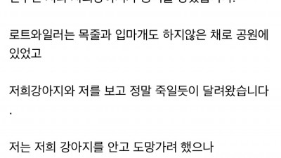  맹견에게 당한 습격