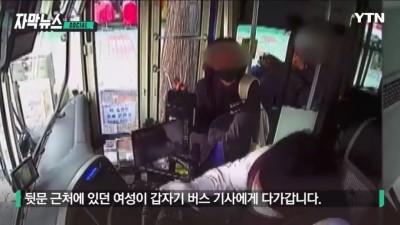  또 등장한 버스 난동녀