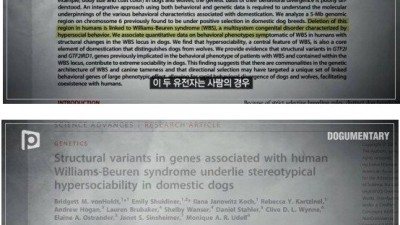  정신적으로 특이한 늑대