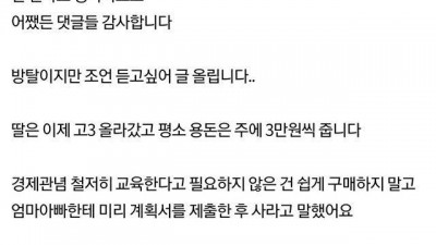  딸이 저 몰래 아이패드를 샀네요