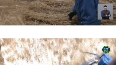  플라스틱 빨대의 대안
