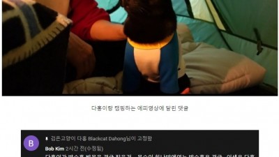  박수홍이 유튜브에 박제했던 댓글
