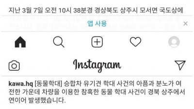  인간임을 포기한 동물학대