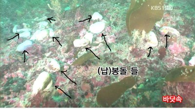  낚시꾼이 다녀간 자리