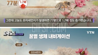  초미세먼지 노출된 벌