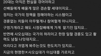  20대 투표 박탈론