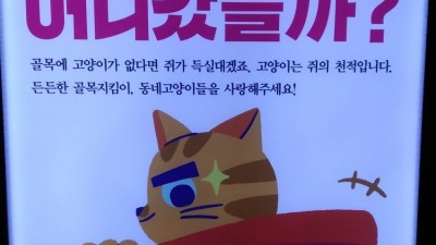  캣맘들 근황