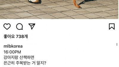  여혐 논란으로 중단된 광고