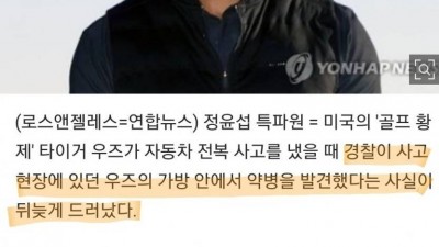  타이거 우즈 약물운전 의혹