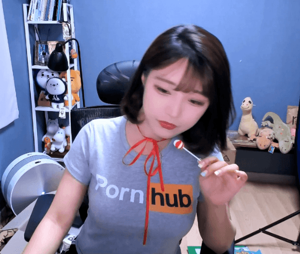 폰헙 갑주