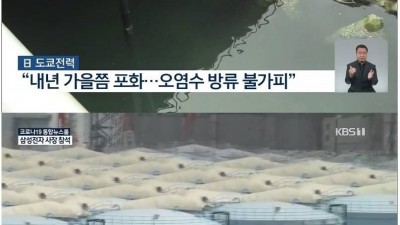  방사능 오염수 해양 방류 결정