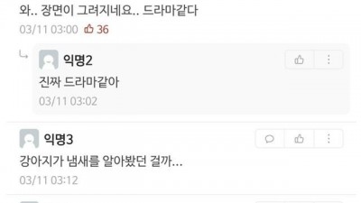  전 여친 만났는데 기분이 이상