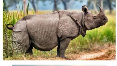  인도네시아 자바섬 인구 밀도