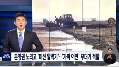  나무에 이은 폐어선 알박기